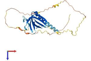 AlphaFold protein structure predicition of Human Recombinant NECAP2 Protein, UniprotID Q9NVZ3