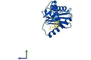AlphaFold protein structure predicition of Human Recombinant AP1S2 Protein, UniprotID P56377