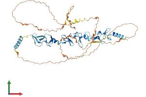 AlphaFold protein structure predicition of Mouse Recombinant Trip6 Protein, UniprotID Q9Z1Y4