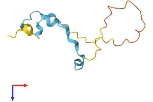 AlphaFold protein structure predicition of Human Recombinant MLLT11 Protein, UniprotID Q13015