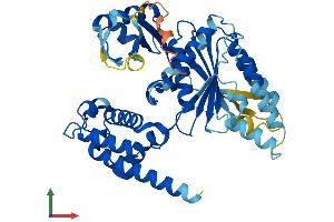 AlphaFold protein structure predicition of Human Recombinant TRIP13 Protein, UniprotID Q15645