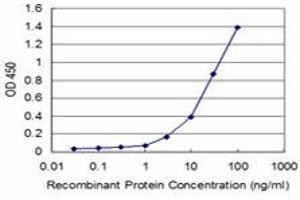 Detection limit for recombinant GST tagged AATK is approximately 3ng/ml as a capture antibody. (AATK anticorps  (AA 161-260))