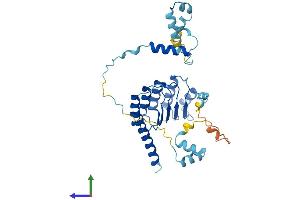 AlphaFold protein structure predicition of Human Recombinant TMOD2 Protein, UniprotID Q9NZR1