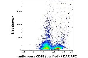 Flow cytometry surface staining pattern of murine splenocyte suspension stained using anti-mouse CD19 (1D3) purified antibody (concentration in sample 0,6 μg/mL) DAR APC. (CD19 anticorps)