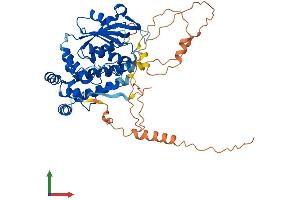 AlphaFold protein structure predicition of Mouse Recombinant Amz1 Protein, UniprotID Q8BVF9