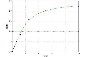 Tachykinin Receptor 2 (TACR2) ELISA Kit