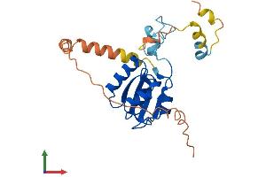 AlphaFold protein structure predicition of Human Recombinant METTL15P1 Protein, UniprotID P0C7V9