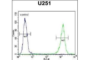 anti-GPI Anchor Attachment Protein 1 (GPAA1) (AA 46-73), (N-Term) antibody