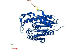 AlphaFold protein structure predicition of Mouse Recombinant Lypla1 Protein, UniprotID P97823