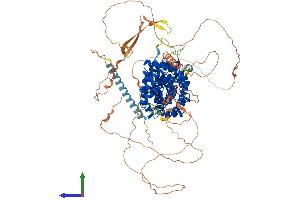 AlphaFold protein structure predicition of Mouse Recombinant Arvcf Protein, UniprotID P98203