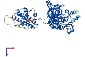 AlphaFold protein structure predicition of Human Recombinant PAPSS1 Protein, UniprotID O43252