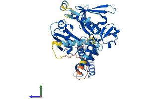 AlphaFold protein structure predicition of Human Recombinant MYLIP Protein, UniprotID Q8WY64
