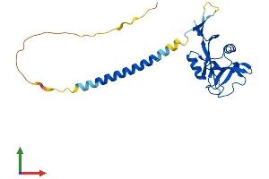AlphaFold protein structure predicition of Human Recombinant CLEC4A Protein, UniprotID Q9UMR7