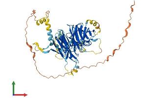 AlphaFold protein structure predicition of Mouse Recombinant Dcaf12l1 Protein, UniprotID Q8CBW4
