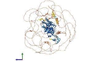 AlphaFold protein structure predicition of Mouse Recombinant Ssh2 Protein, UniprotID Q5SW75
