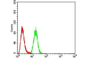 Flow Cytometry (FACS) image for anti-Calbindin 2 (CALB2) (AA 1-271) antibody (ABIN5884325) (Calretinin anticorps  (AA 1-271))