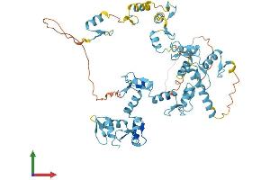 AlphaFold protein structure predicition of Mouse Recombinant Repin1 Protein, UniprotID Q5U4E2