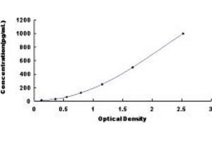Typical standard curve (FGF13 Kit ELISA)