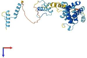 AlphaFold protein structure predicition of Human Recombinant PRPF18 Protein, UniprotID Q99633