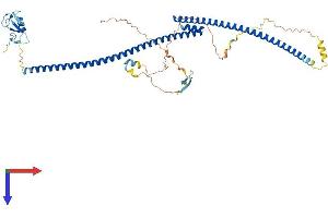 AlphaFold protein structure predicition of Human Recombinant TRAIP Protein, UniprotID Q9BWF2