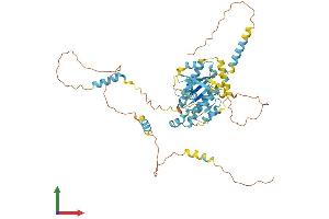 AlphaFold protein structure predicition of Mouse Recombinant Dync1li2 Protein, UniprotID Q6PDL0