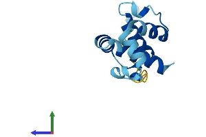 AlphaFold protein structure predicition of Mouse Recombinant Cnfn Protein, UniprotID Q6PCW6