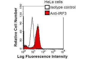 HeLa cells were fixed in 2% paraformaldehyde/PBS and then permeabilized in 90% methanol.