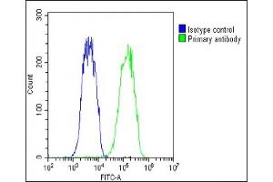 Overlay histogram showing Hela cells stained with (ABIN1537893 and ABIN2848739)(green line).