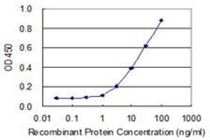 Detection limit for recombinant GST tagged WDR41 is 1 ng/ml as a capture antibody. (WDR41 anticorps  (AA 1-459))