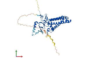 AlphaFold protein structure predicition of Human Recombinant ZDHHC9 Protein, UniprotID Q9Y397