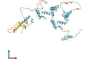 AlphaFold protein structure predicition of Human Recombinant ZNF556 Protein, UniprotID Q9HAH1