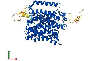 AlphaFold protein structure predicition of Mouse Recombinant Rhag Protein, UniprotID Q9QUT0