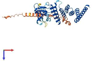 AlphaFold protein structure predicition of Human Recombinant FKBPL Protein, UniprotID Q9UIM3