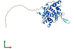 AlphaFold protein structure predicition of Human Recombinant GOLPH3L Protein, UniprotID Q9H4A5