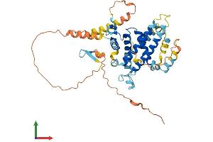AlphaFold protein structure predicition of Mouse Recombinant Ppp1r36 Protein, UniprotID D3Z0R2