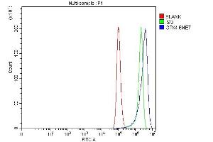 Flow Cytometry analysis of Hela cells using anti-Glutathione Peroxidase 4/GPX4 antibody (ABIN7601212).