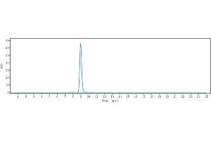 anti-IgE (Omalizumab Biosimilar) antibody