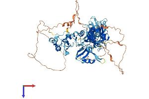 AlphaFold protein structure predicition of Human Recombinant LNX1 Protein, UniprotID Q8TBB1