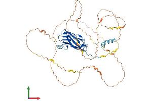 AlphaFold protein structure predicition of Human Recombinant RUNX1 Protein, UniprotID Q01196
