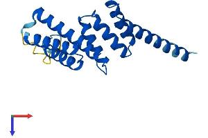 AlphaFold protein structure predicition of Human Recombinant TTC9C Protein, UniprotID Q8N5M4