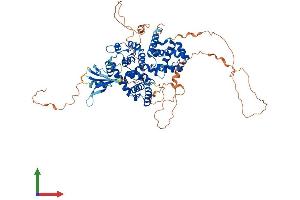 AlphaFold protein structure predicition of Human Recombinant TBC1D25 Protein, UniprotID Q3MII6