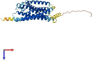 AlphaFold protein structure predicition of Human Recombinant CYSLTR1 Protein, UniprotID Q9Y271