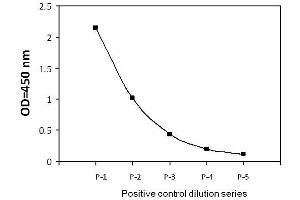 A431 cells were treated with EGF.