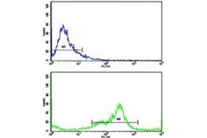 Flow cytometric analysis of MDA-231 cells using VCP antibody (green) compared to a negative control (blue).