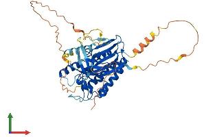 AlphaFold protein structure predicition of Human Recombinant IP6K1 Protein, UniprotID Q92551