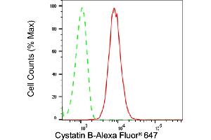 Flow cytometric analysis of Cystatin B expression in H9c2 cells using Cystatin B antibody (ABIN7798237), 1:2,000).