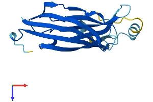 AlphaFold protein structure predicition of Mouse Recombinant B9d2 Protein, UniprotID Q3UK10