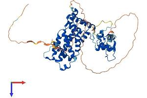 AlphaFold protein structure predicition of Human Recombinant NR6A1 Protein, UniprotID Q15406