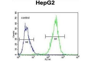 Flow cytometric analysis of HepG2 cells using PPAR-delta Antibody (C-term) Cat.