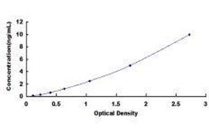ELISA image for Protein Kinase, CGMP-Dependent, Type I (PRKG1) ELISA Kit (ABIN430220)